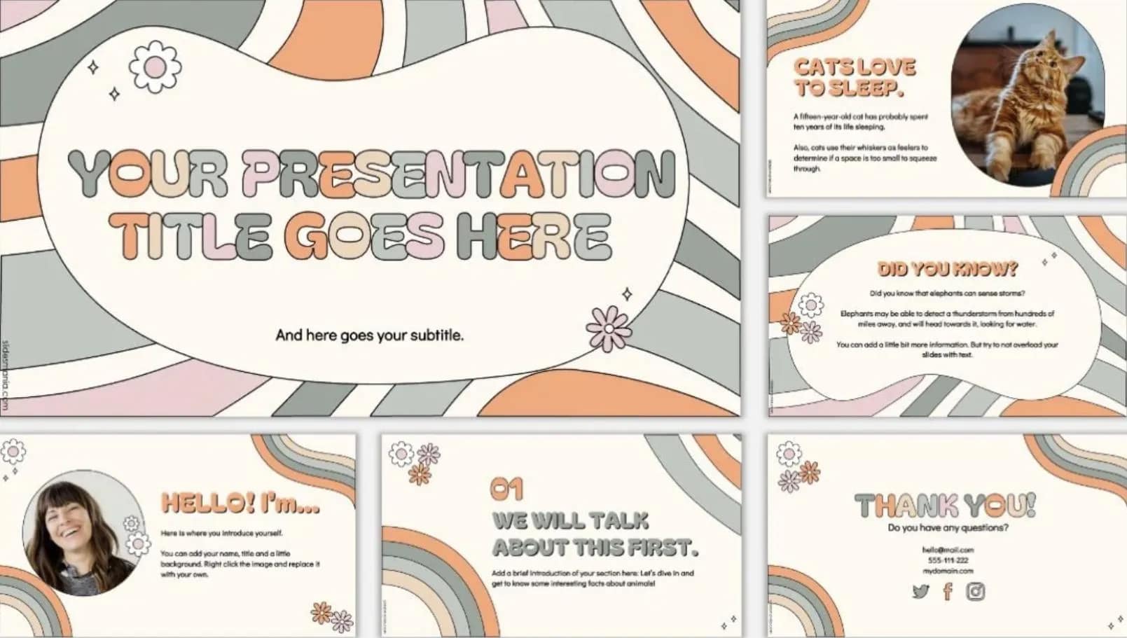 Daisy Playful and Groovy